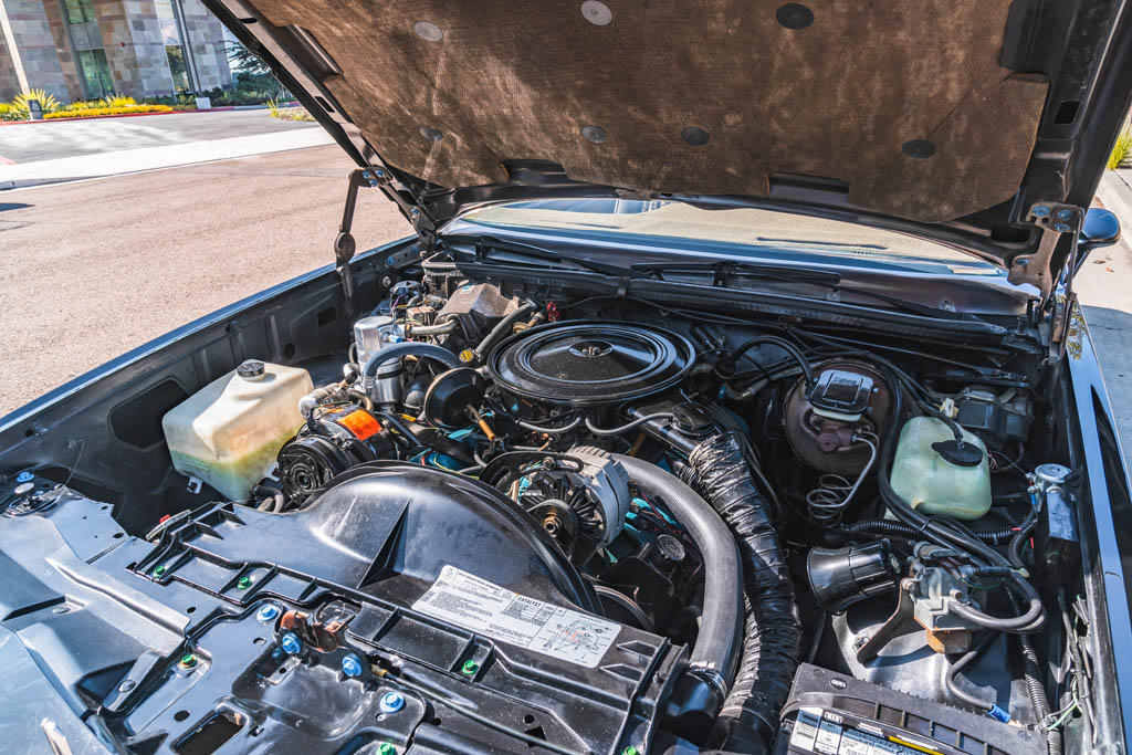 1979 Pontiac  Grand Prix - Engine Photo