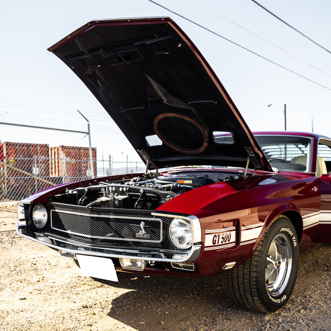 1969 Ford Shelby GT500 Royal Maroon 428 - Engine Photo