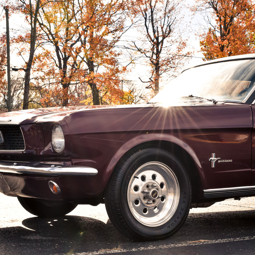 1966 Ford Mustang - Engine Photo