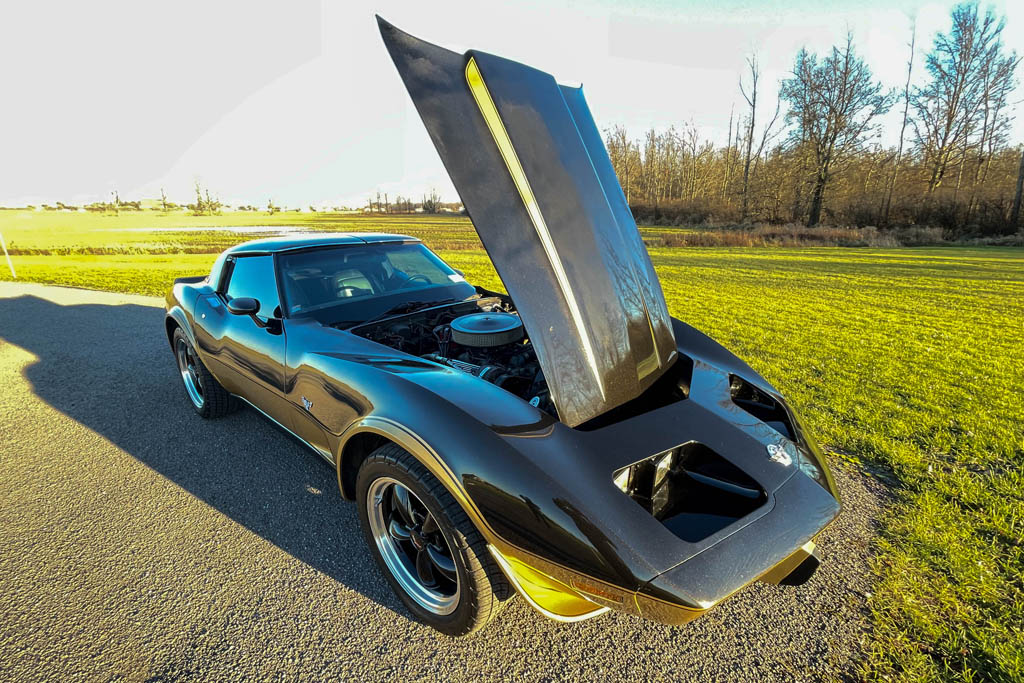 1978 Chevrolet Corvette  - Overview Photo