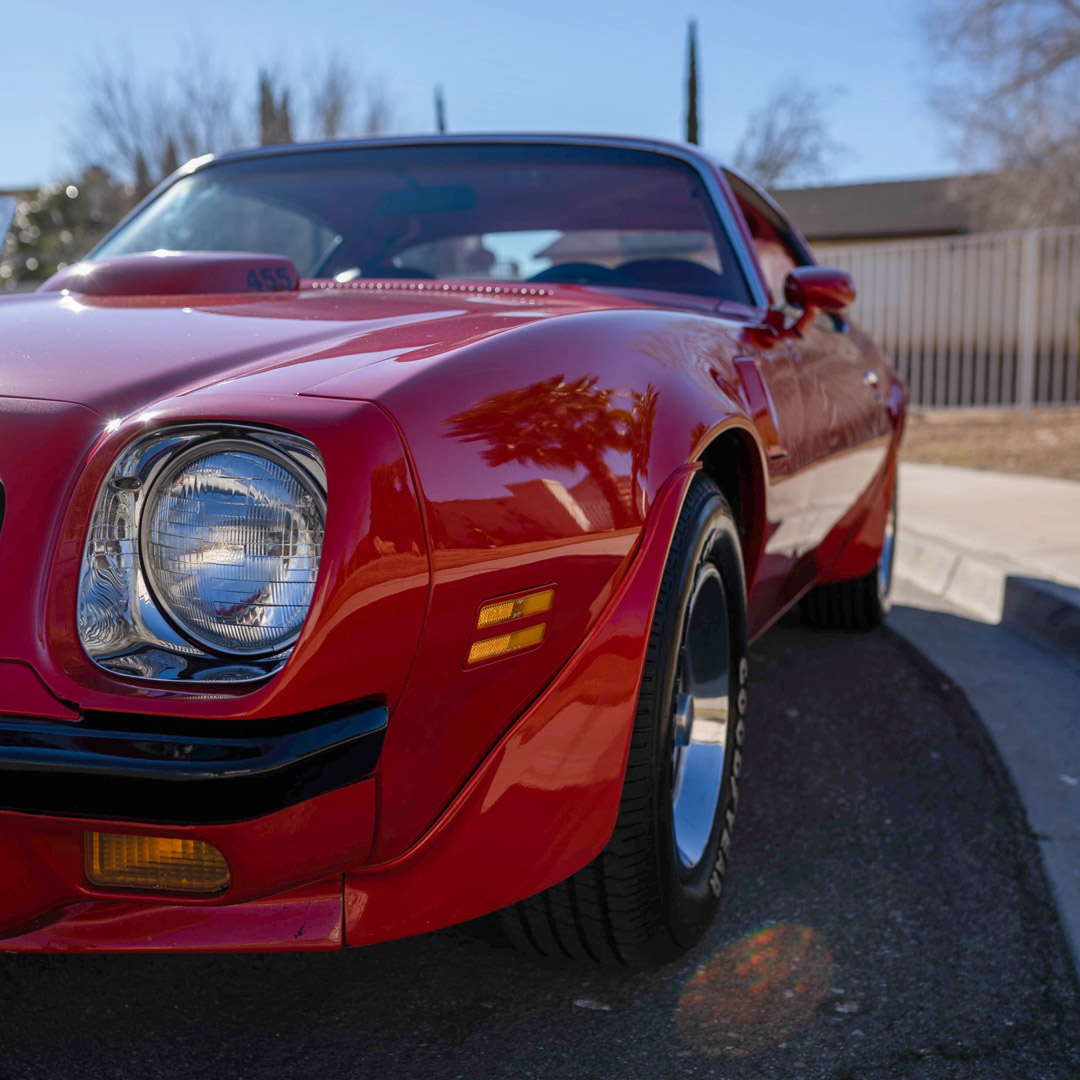 1974 Pontiac Firebird Trans Am - Engine Photo