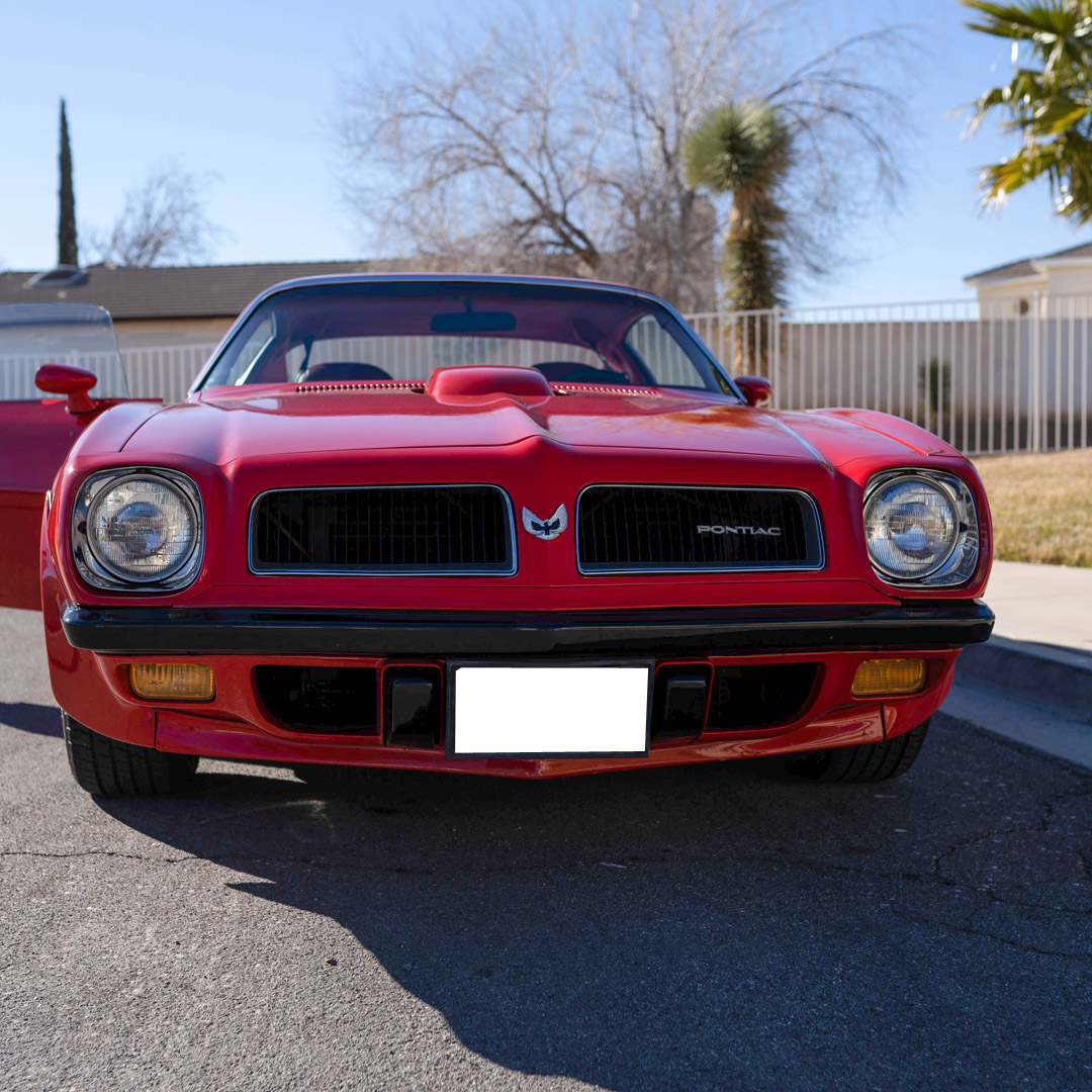 1974 Pontiac Firebird Trans Am - Overview Photo