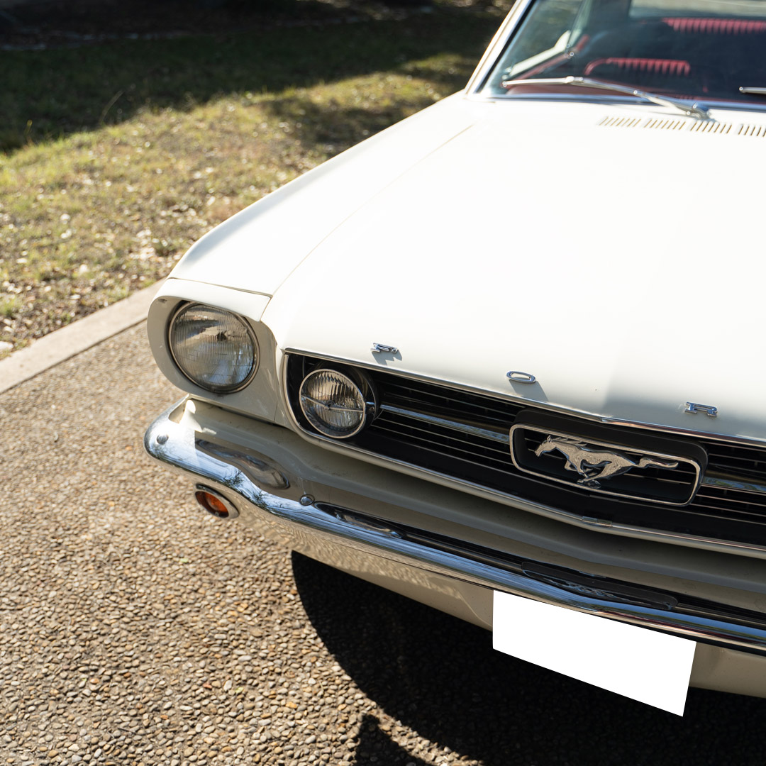 1966 Ford Mustang - Engine Photo