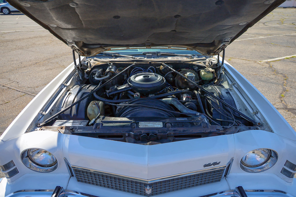1973 Chevrolet Monte Carlo - Engine Photo