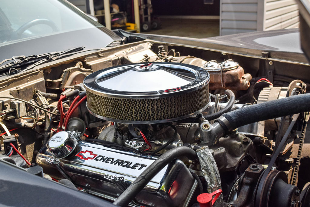 1979 Chevrolet Corvette  - Engine Photo