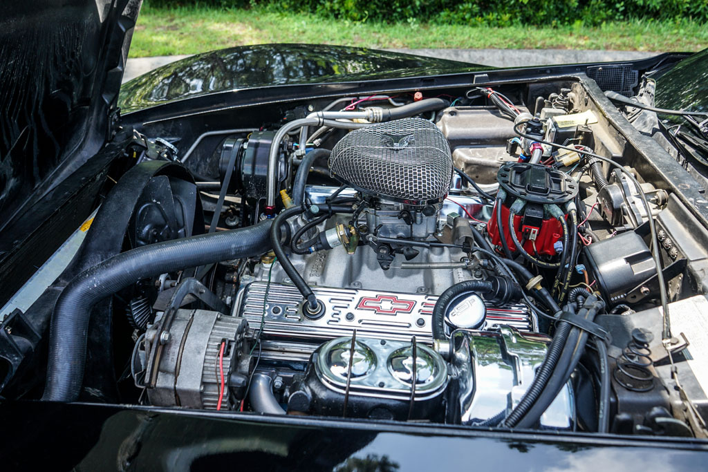 1979 Chevrolet  Corvette  - Engine Photo