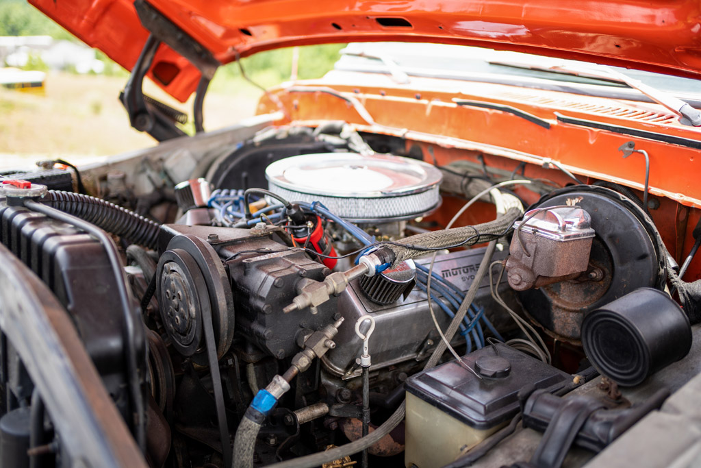 1979 Ford F-150 - Engine Photo