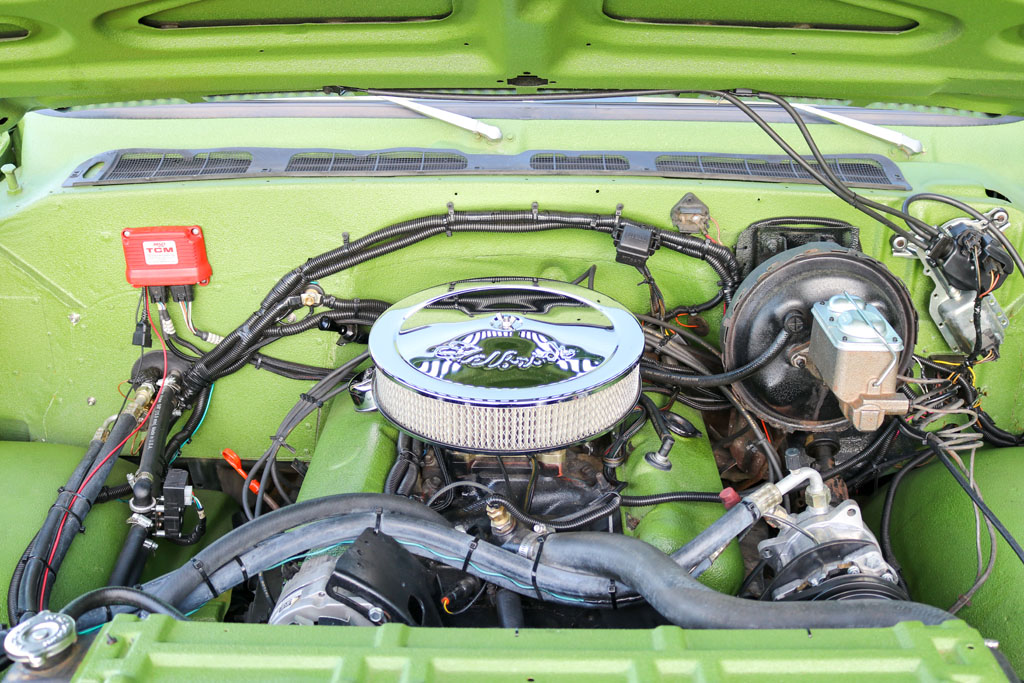 1979 Chevy C10 - Engine Photo