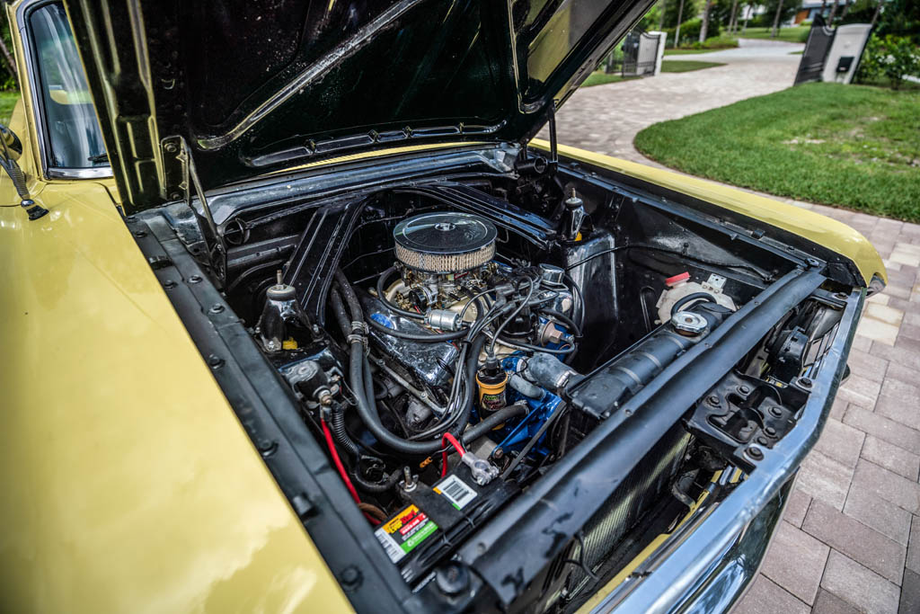 1965 Ford Falcon - Engine Photo