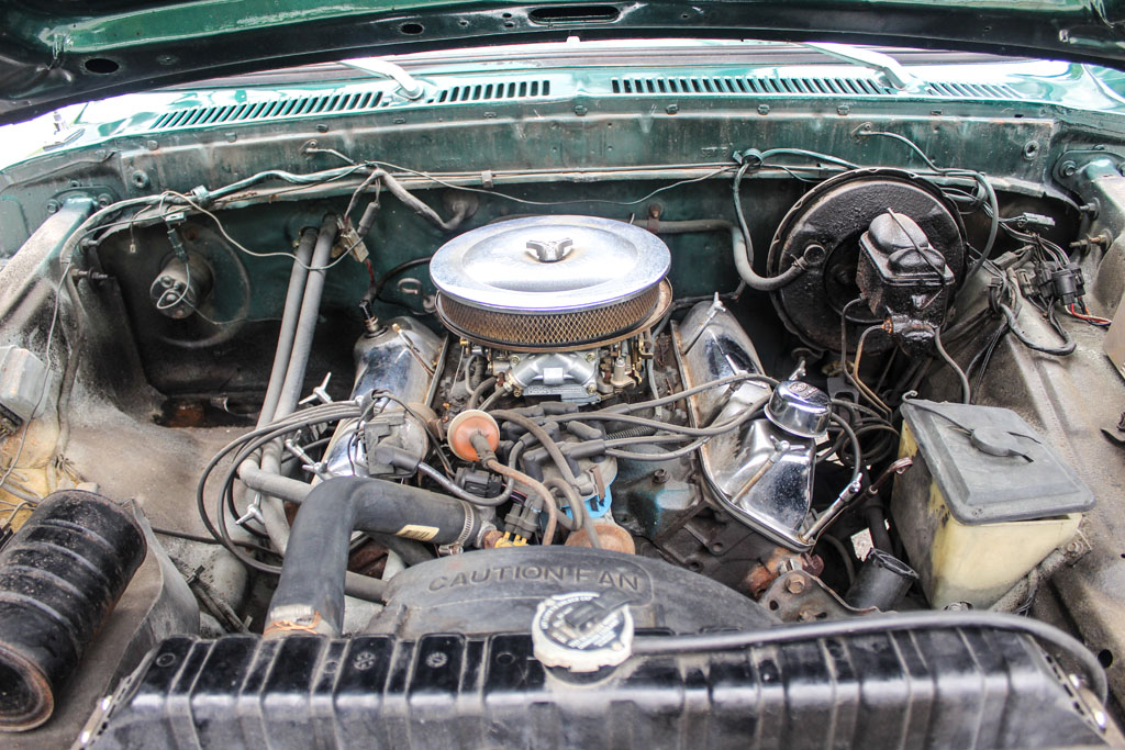 1978 Ford F-150 - Engine Photo