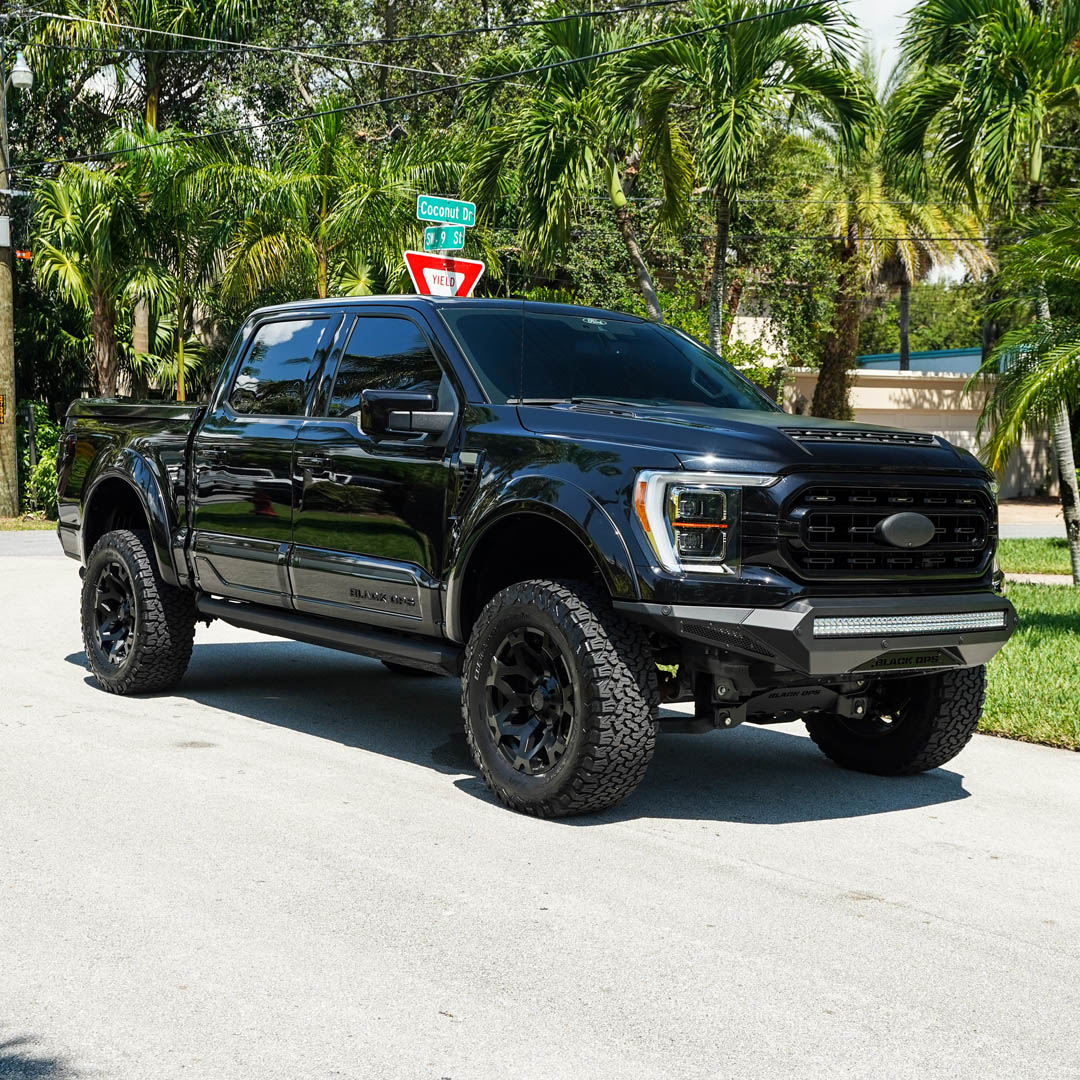 2021 Ford F-150 - Overview Photo