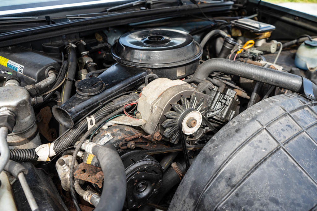 1985 Buick Regal - Engine Photo