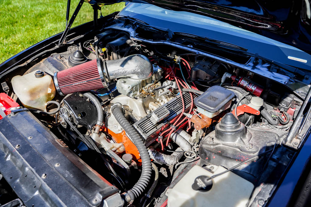 1986 Pontiac Firebird - Engine Photo