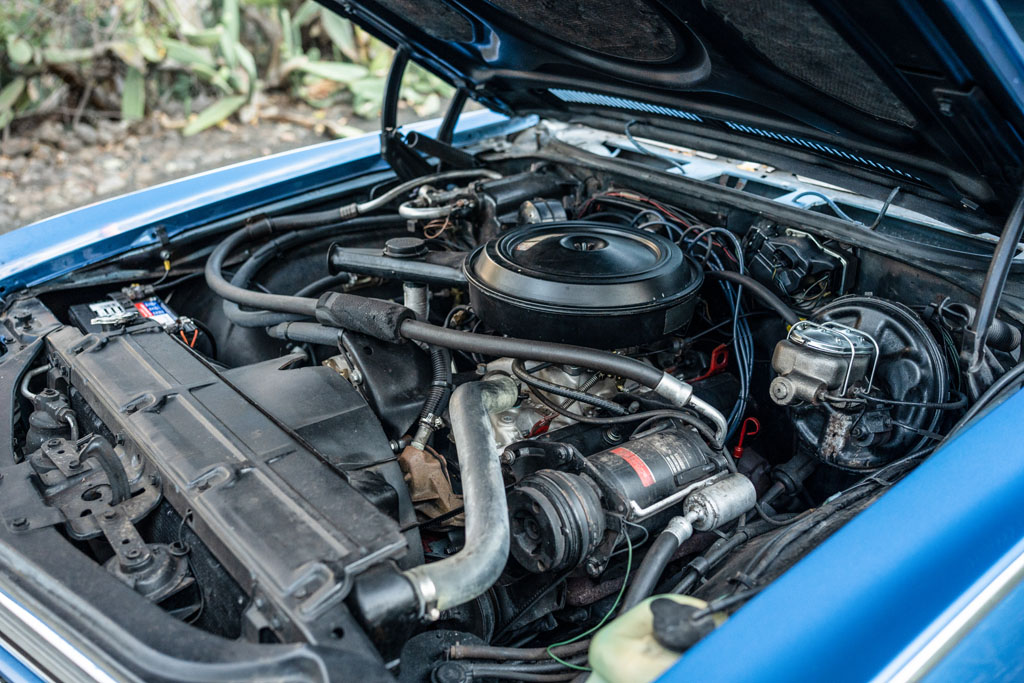 1970 Chevrolet Chevelle Malibu - Engine Photo