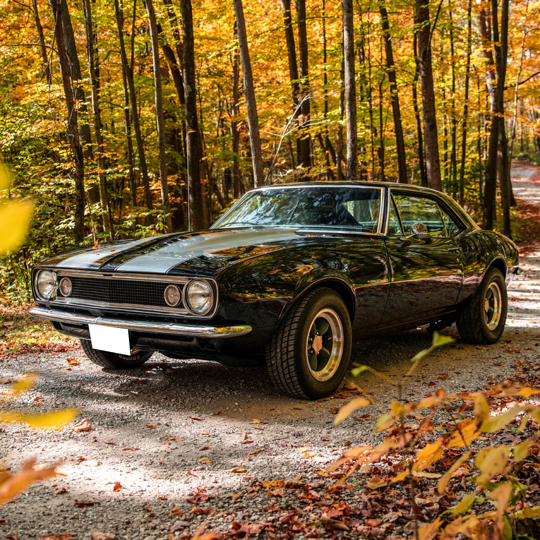 1967 Chevrolet Camaro - Overview Photo