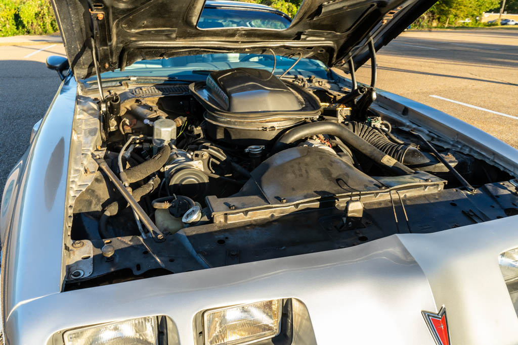 1979 Pontiac  Firebird Trans Am - Engine Photo
