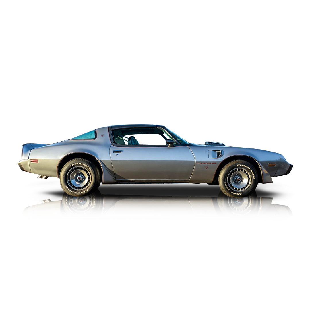 1979 Pontiac  Firebird Trans Am - Passenger side