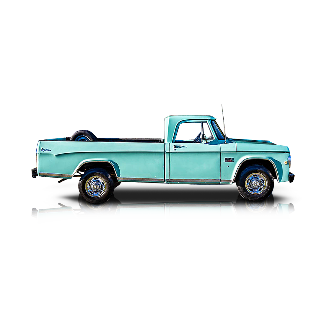 1969 Dodge D200 - Passenger side