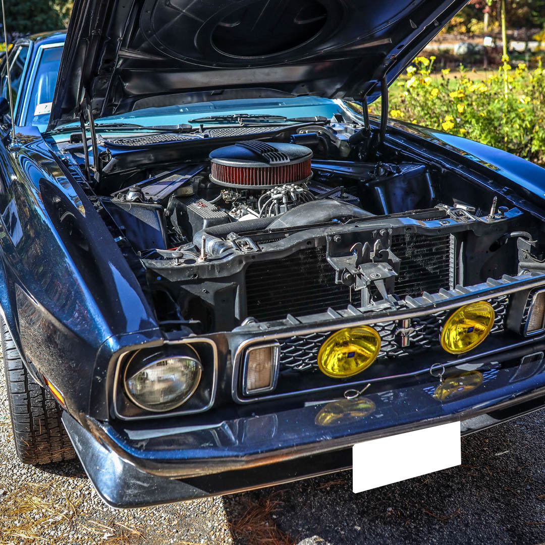 1973 Ford Mustang  - Engine Photo