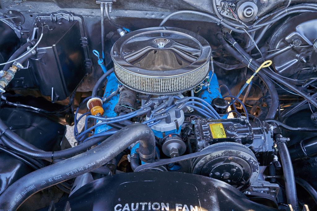 1981 Ford Bronco - Engine Photo