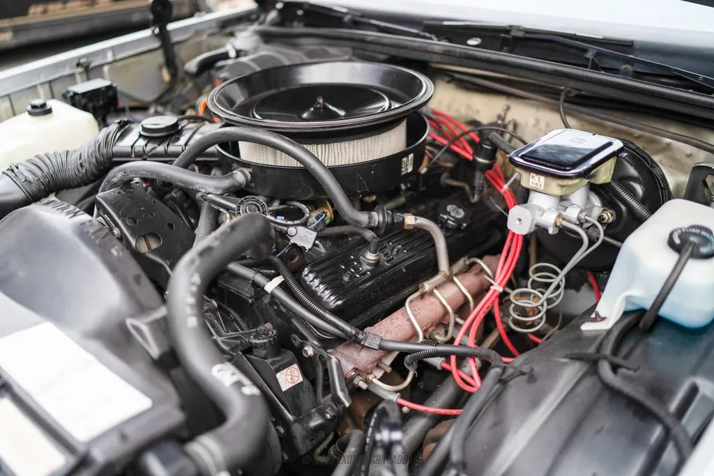 1988 Chevrolet Monte Carlo - Engine Photo