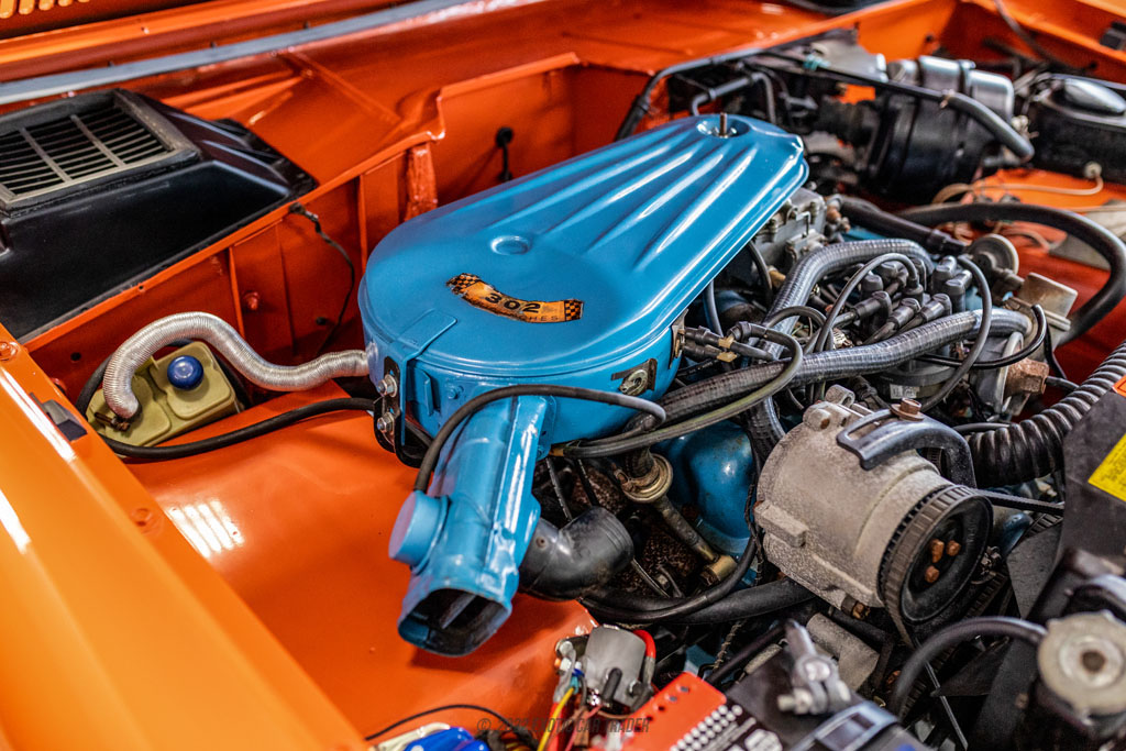 1976 Ford Bronco - Engine Photo