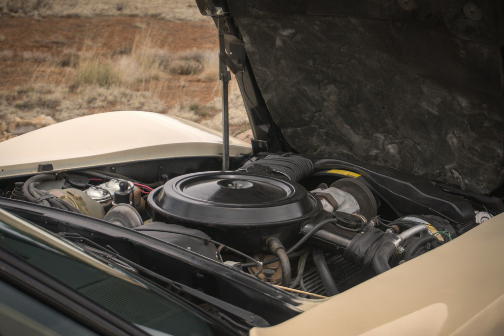 1979 Chevrolet Corvette  - Engine Photo