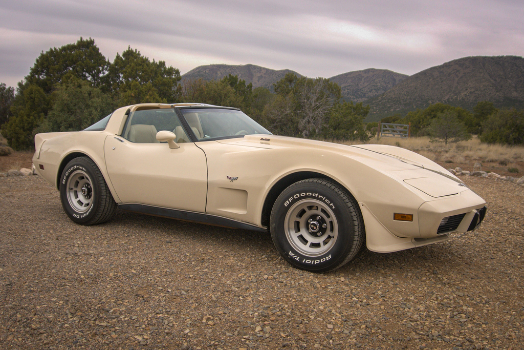 1979 Chevrolet Corvette  - Overview Photo