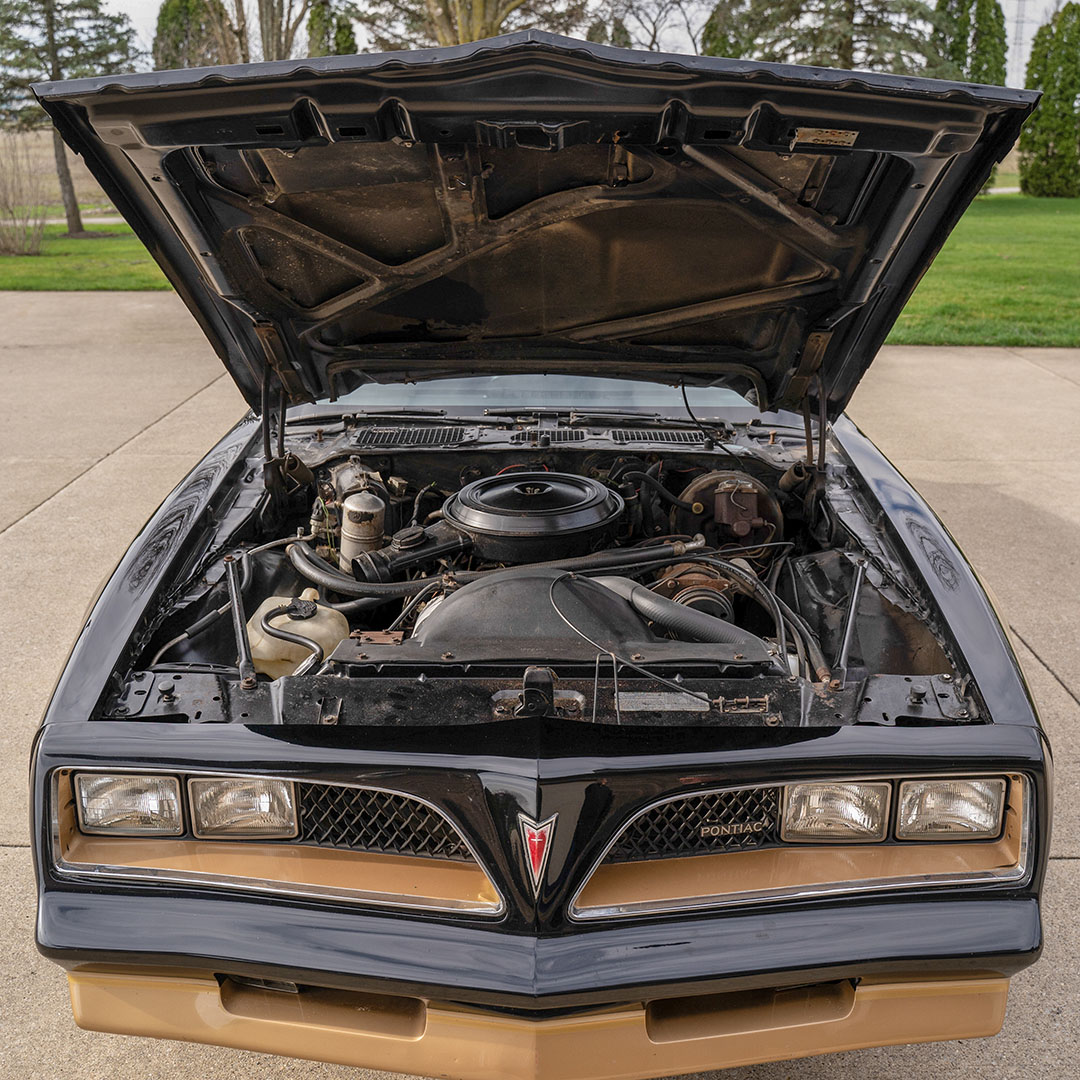 1978 Pontiac Firebird - Engine Photo