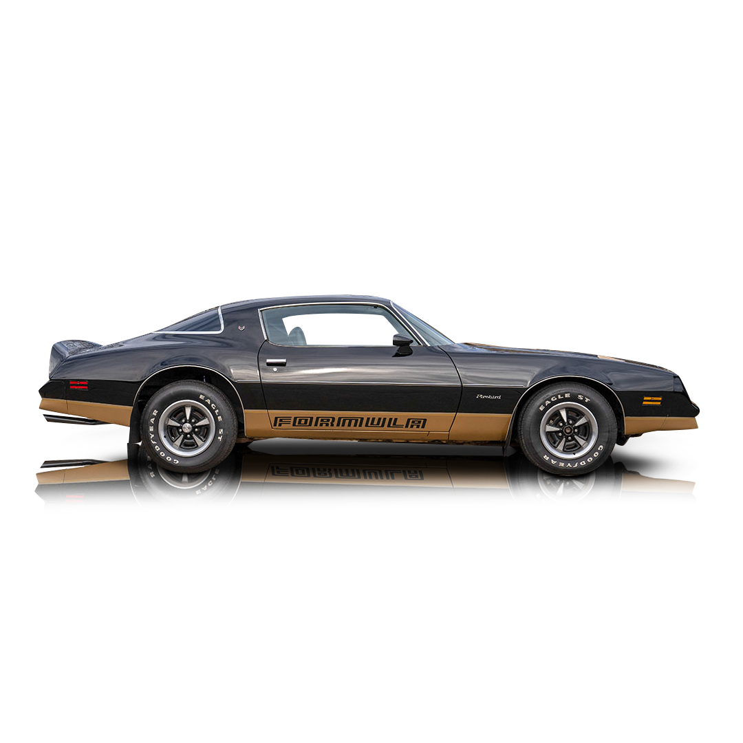 1978 Pontiac Firebird - Passenger side