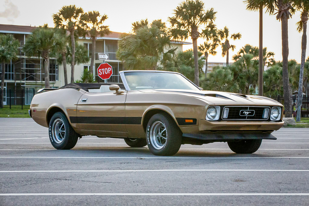 1973 Ford Mustang - Overview Photo