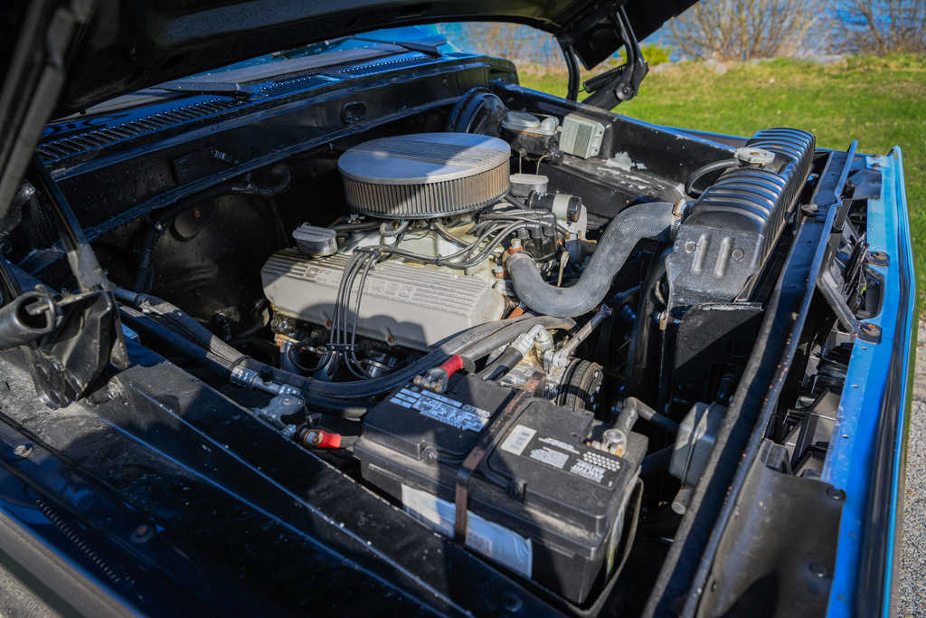 1974 Ford F100 - Engine Photo