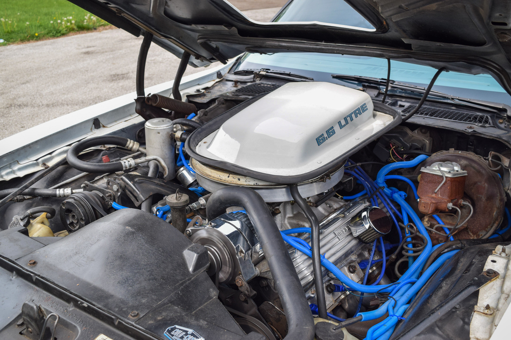 1979 Pontiac Firebird  - Engine Photo