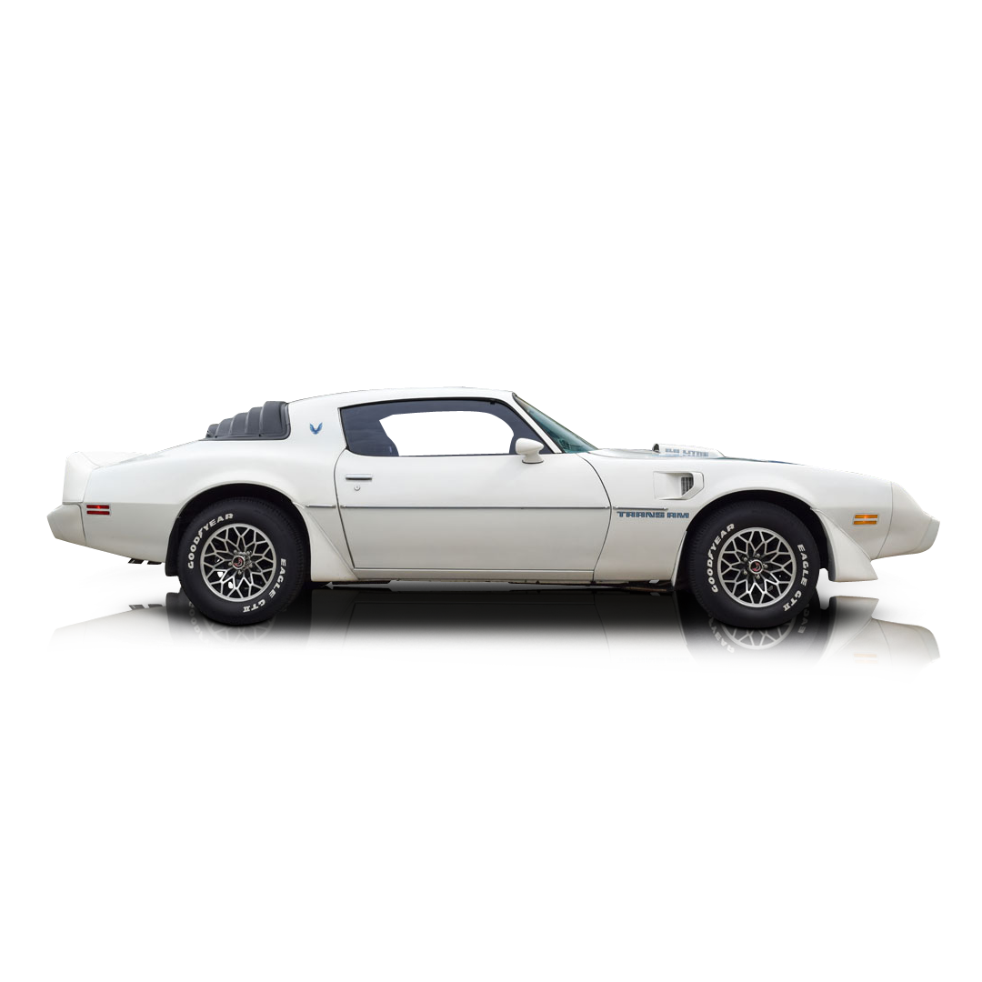 1979 Pontiac Firebird  - Passenger side