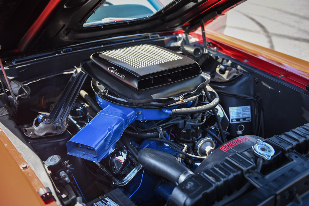 1969 Ford Mustang - Engine Photo