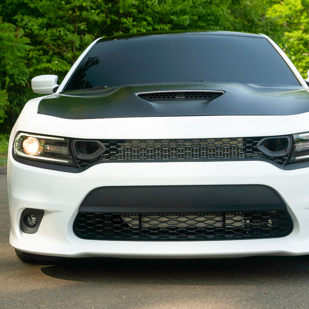 2019 Dodge Charger - Engine Photo