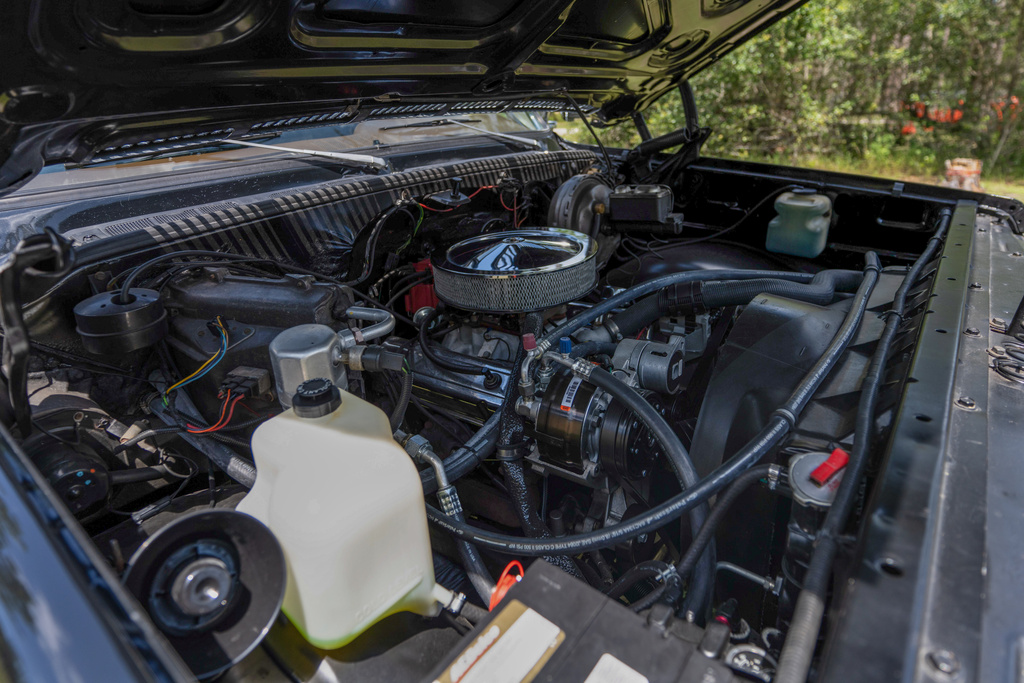 1978 Chevrolet K5 Blazer - Engine Photo