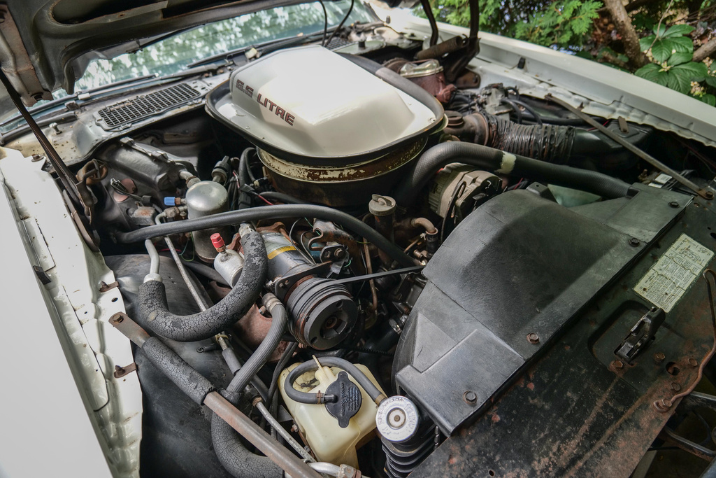 1979 Pontiac Firebird - Engine Photo