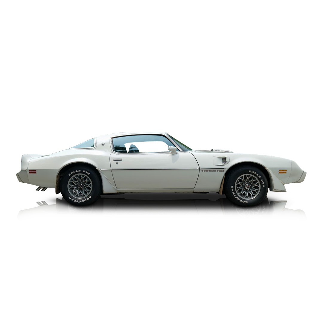 1979 Pontiac Firebird - Passenger side