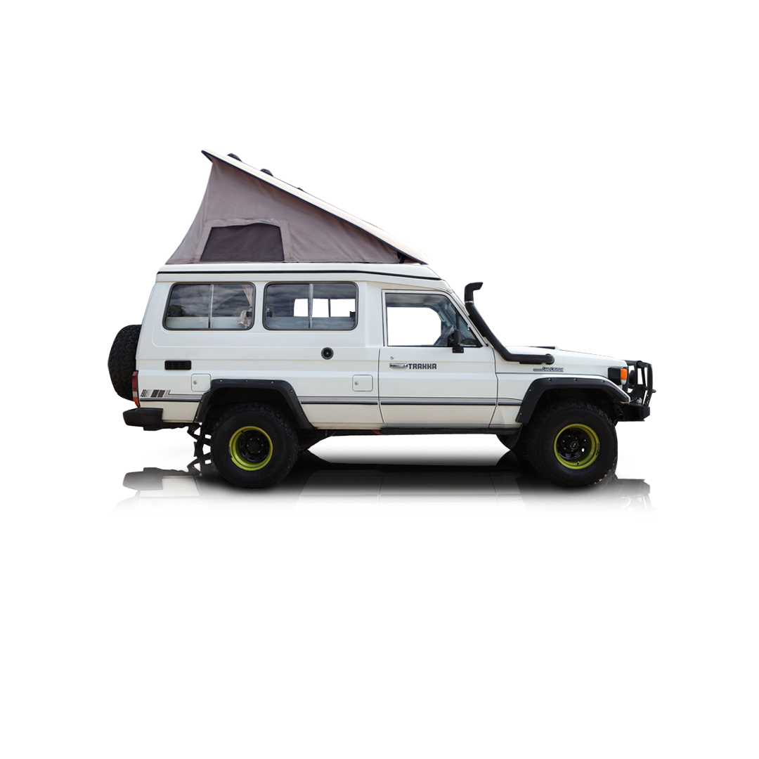 1991 Toyota Land Cruiser  - Passenger side