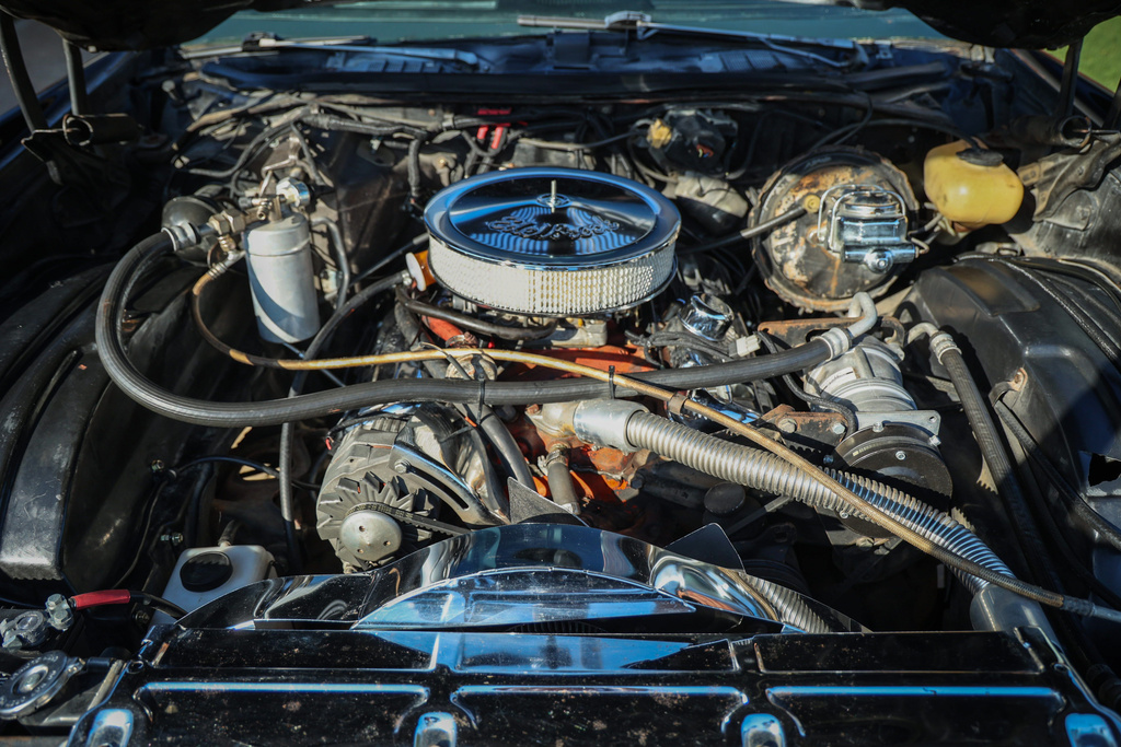 1974 Chevrolet Monte Carlo - Engine Photo