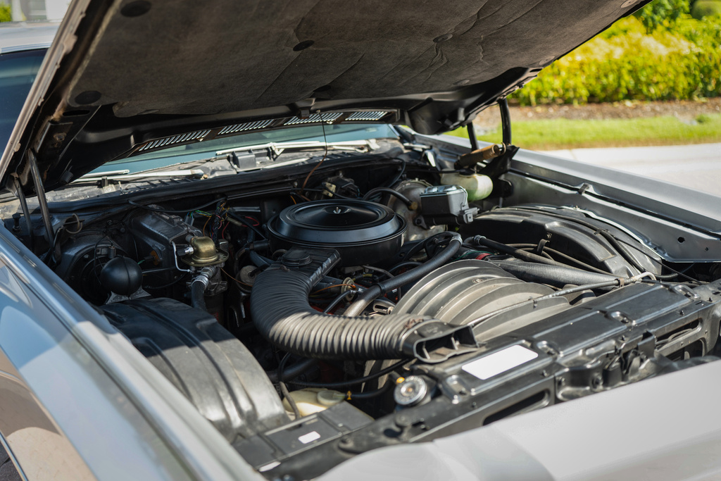 1975 Chevrolet Monte Carlo - Engine Photo