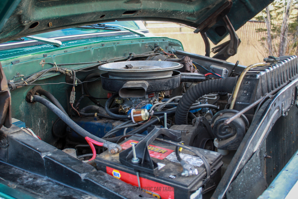 1979 Ford F-250 - Engine Photo