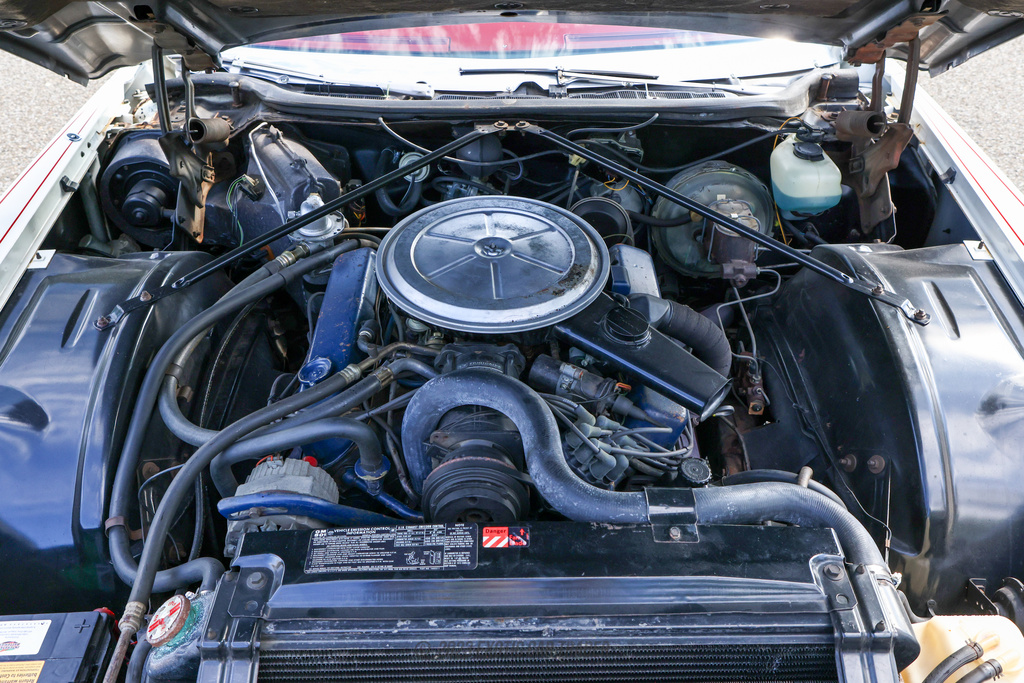 1973 Cadillac Eldorado - Engine Photo