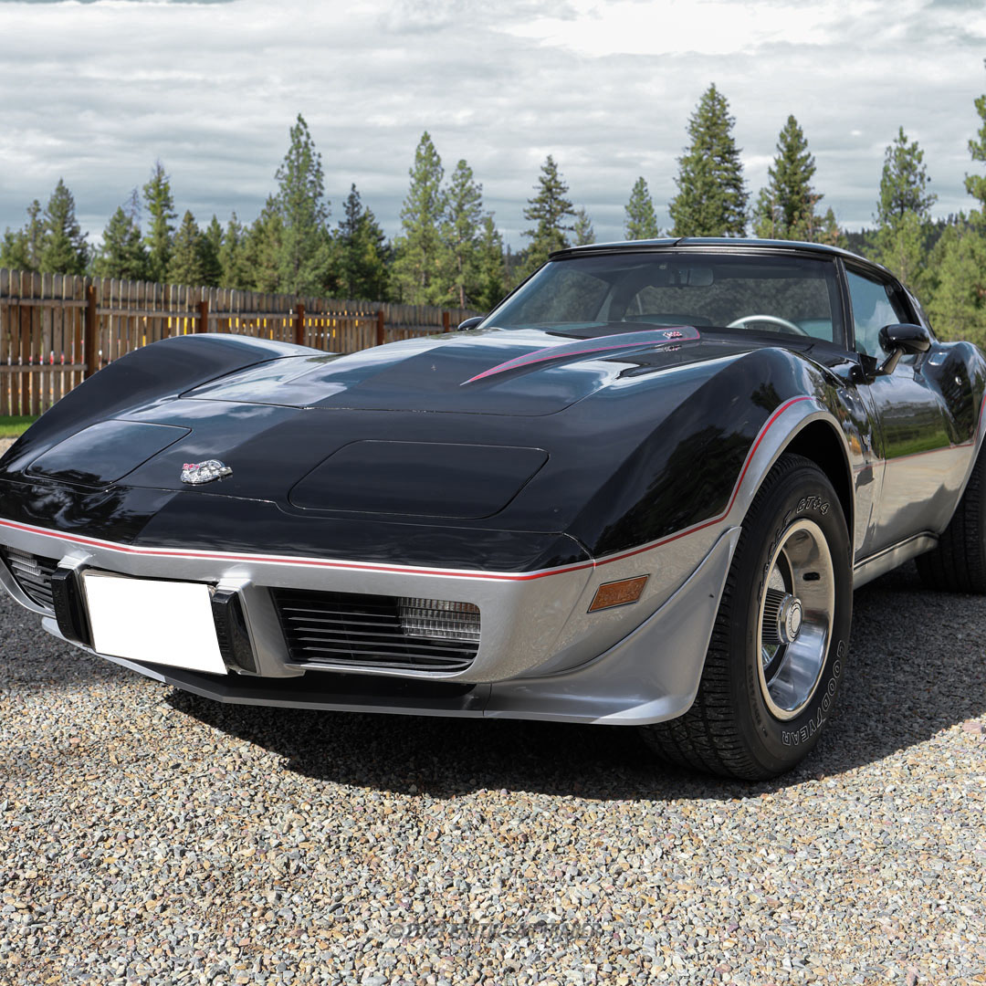 1978 Chevrolet Corvette - Overview Photo