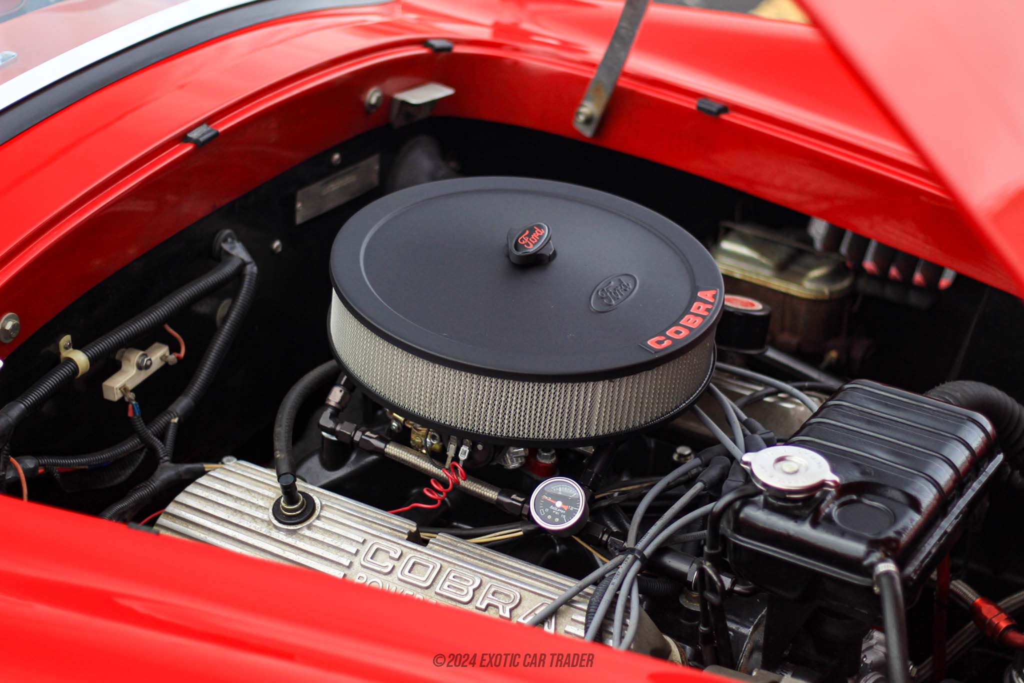 1965 Shelby Cobra - Engine Photo