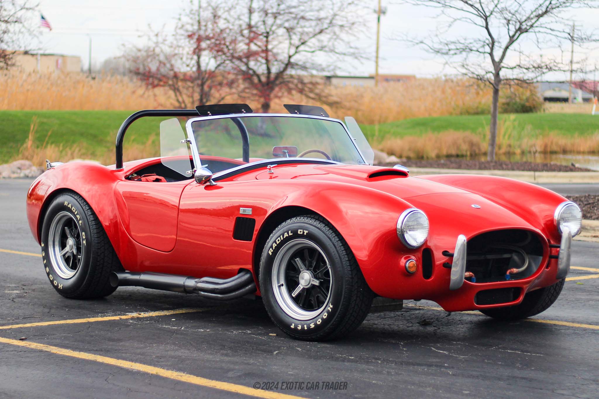 1965 Shelby Cobra - Overview Photo