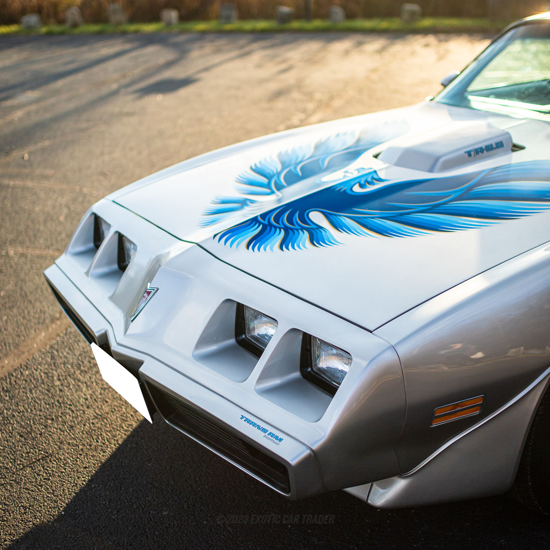1979 Pontiac  Firebird Trans Am - Engine Photo