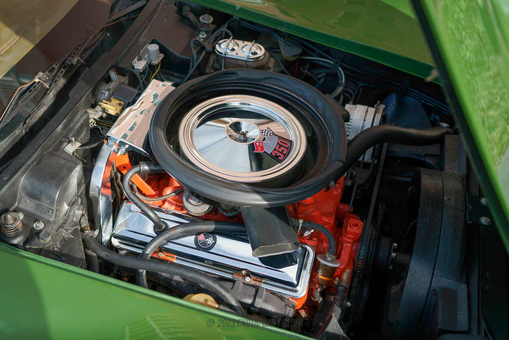 1973 Chevrolet  Corvette - Engine Photo