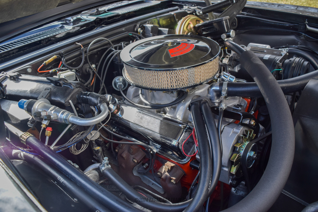 1969 Chevrolet Camaro - Engine Photo